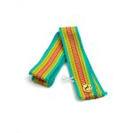 Sash Belt
