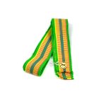 Sash Belt