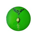 Vegetables placemat