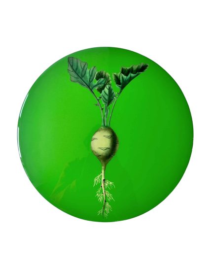 Vegetables placemat
