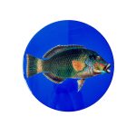 Fish placemat