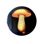 Mushroom placemat