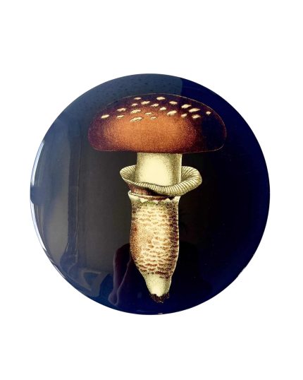 Mushroom placemat