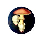 Mushroom placemat