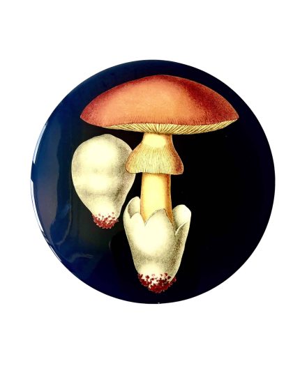 Mushroom placemat