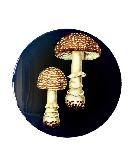 Mushroom placemat
