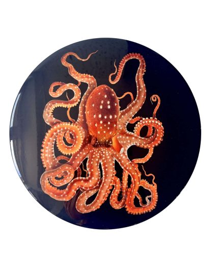 Octopus placemat